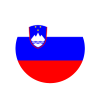 slovenia_icon-1.png